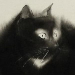 Meet your Posher, Saelee